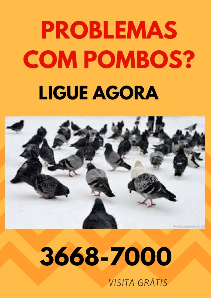 Eliminar Pombos em Alphaville