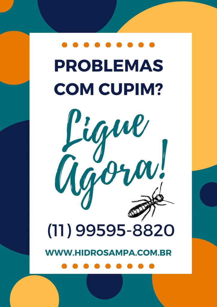 Dedetização de Cupim na Lapa