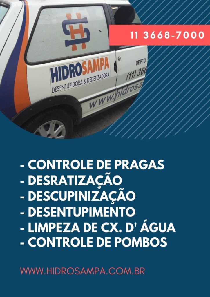 Controle de Pombos em Arujá