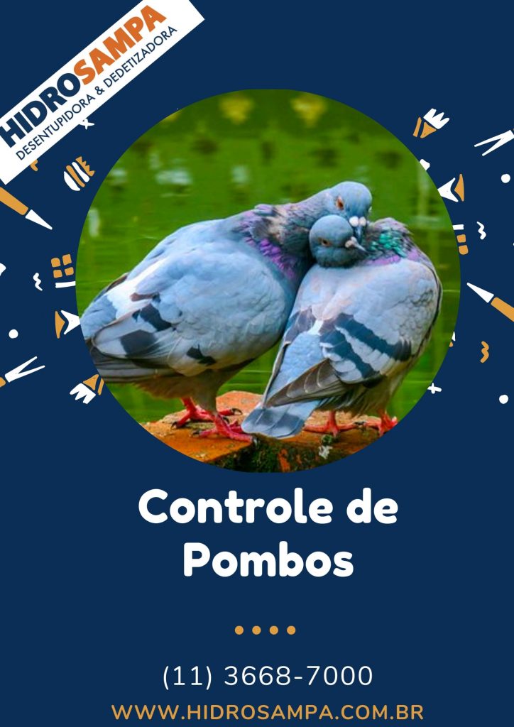 Controle de Pombos em Franco da Rocha