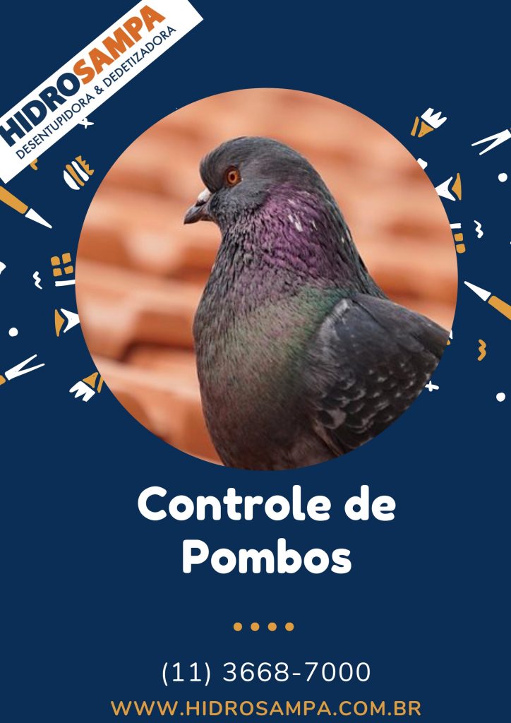 Controle de Pombos em Jandira