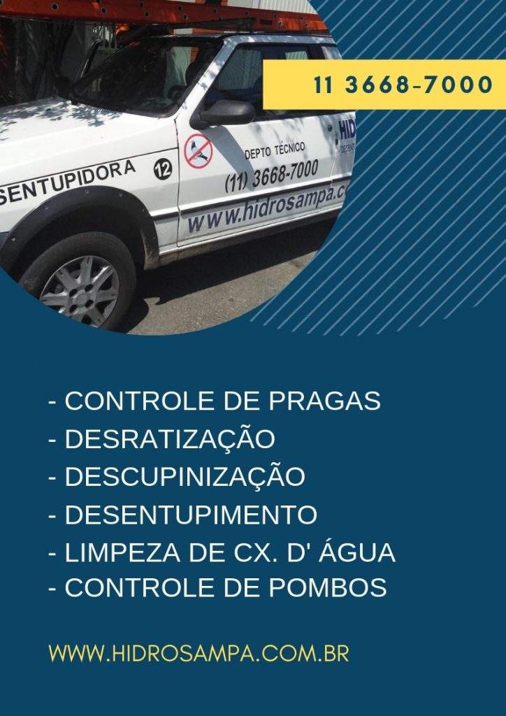 Controle de Pombos em Mairiporã