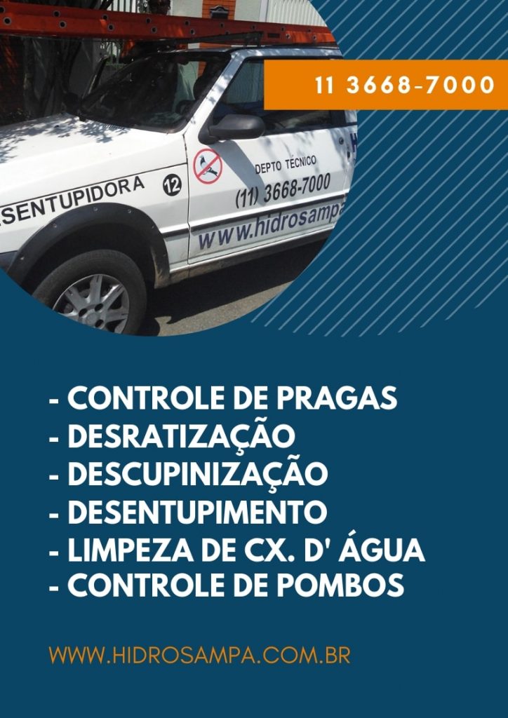 Controle de Pombos em Embu