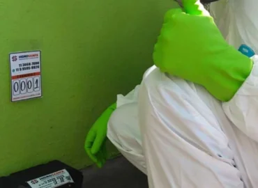 Serviços de desratização oferecidos pela Hidrosampa